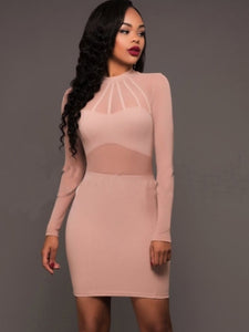 Long Sleeve See-Through Women's Bodycon Dress